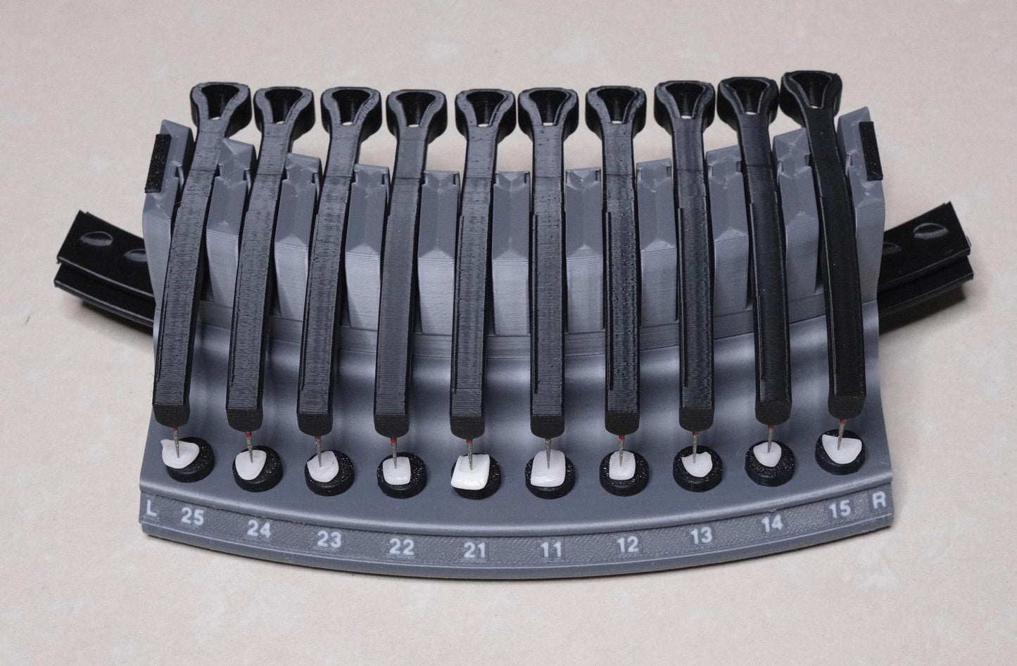 Dental Veneers & Crowns Organizer