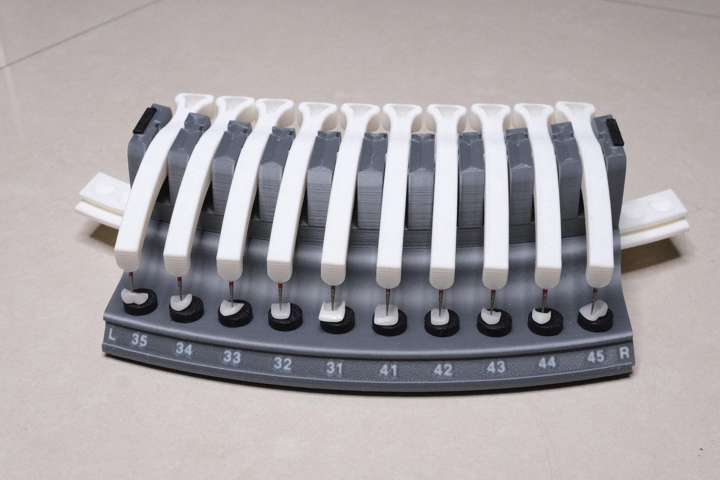 Dental Veneers & Crowns Organizer