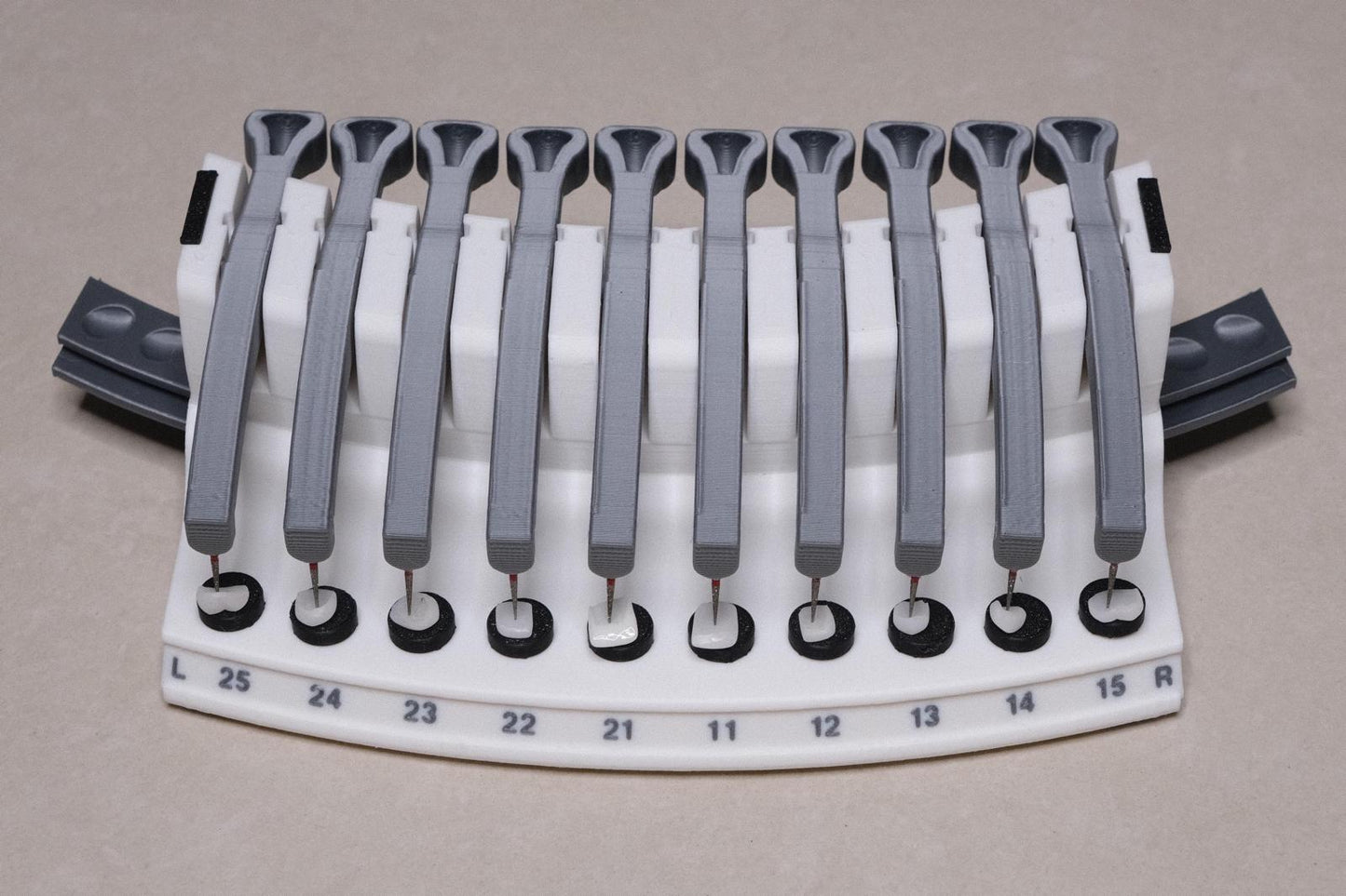 Dental Veneers & Crowns Organizer