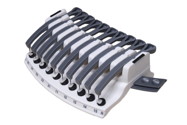 Dental Veneers & Crowns Organizer