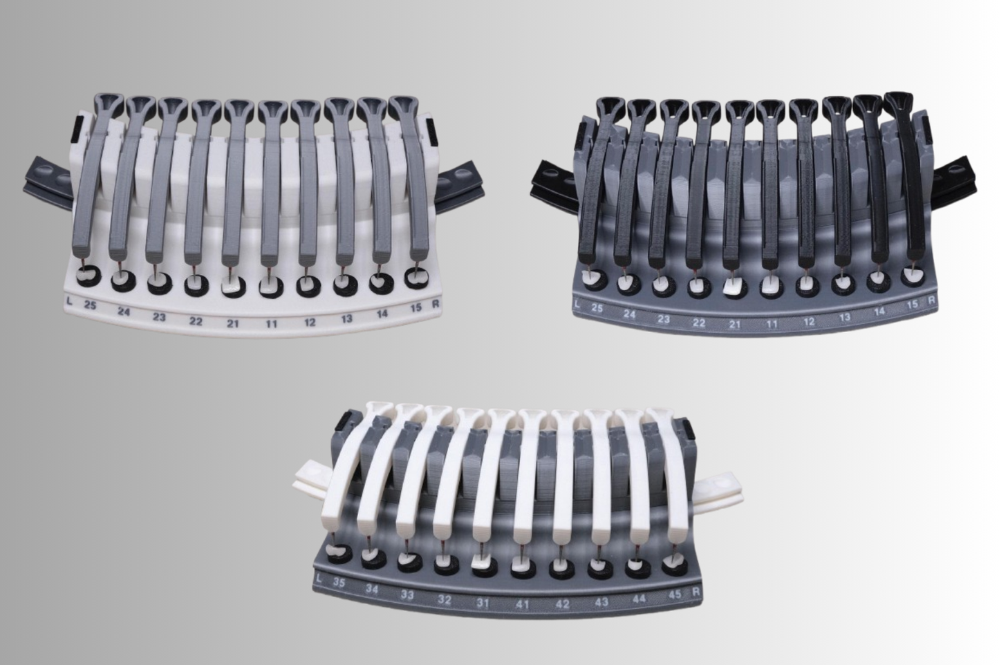 Dental Veneers & Crowns Organizer