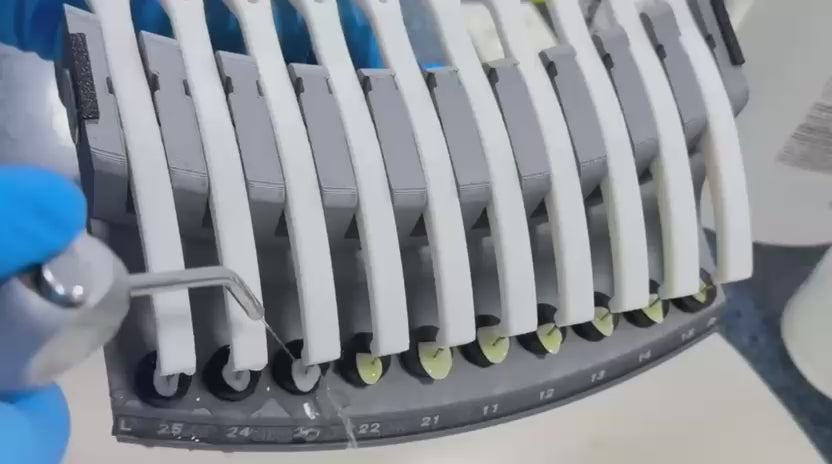 Steaming and Cleaning Veneers and Crown